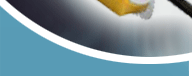 ROV: Remote Operated Vehicles, Sonar, Underwater, Inspection, Tunnel, Diving